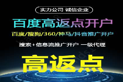 竞价广告的投放策略与效果评估——以一成功企业为例